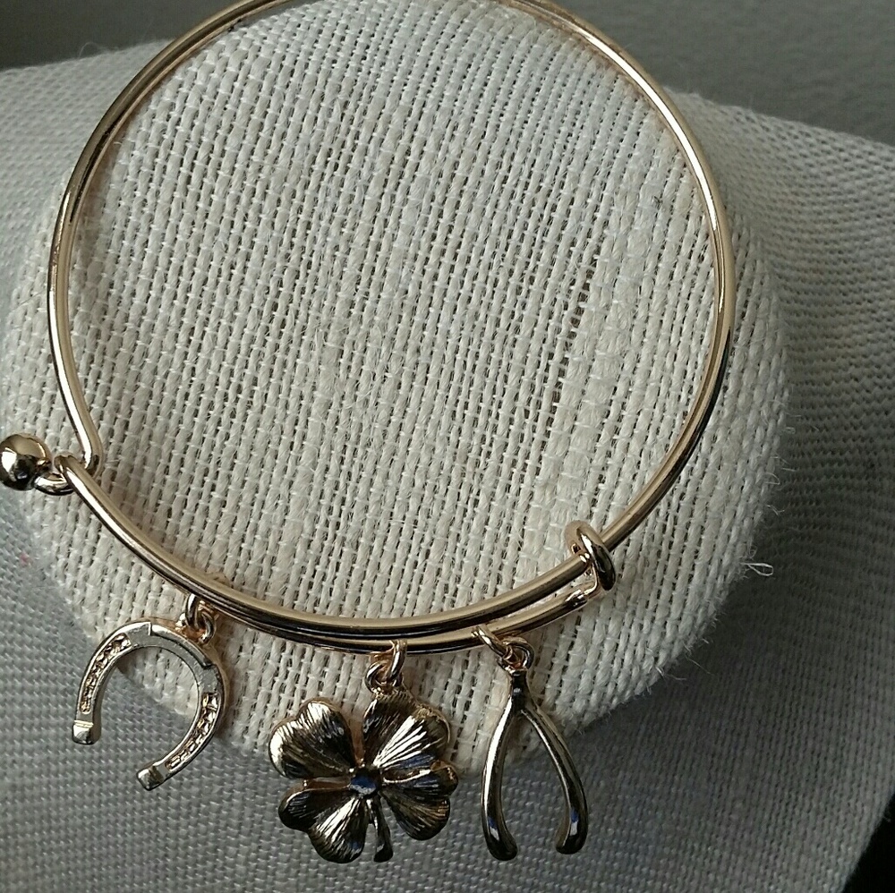 Accessorie - Picture 3 of 4